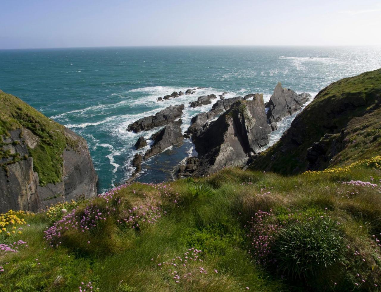 Galley Head Lightkeeper's Hébergement de vacances Donoure